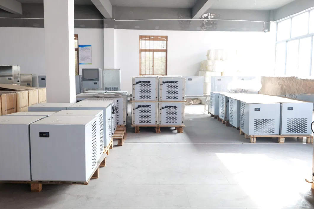Commercial Use Bullet/Cube/Granular/Flake/Crushed/Nugget Ice Maker, Ice Making Machine, Ice Machine Zb-100 with CE/ETL/ISO9001